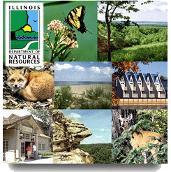 IDNR logo